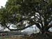 020525_santa_barbara07