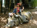 050602_zoo11