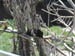 050602_zoo14